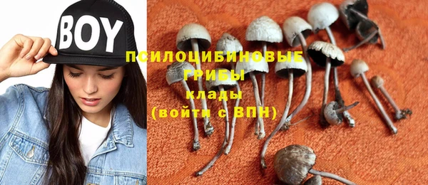 MESCALINE Майский