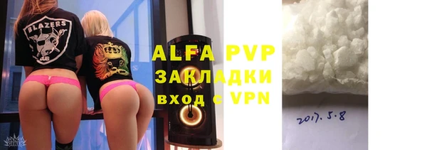 PSILOCYBIN Магас