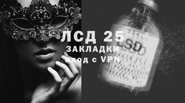 PSILOCYBIN Магас