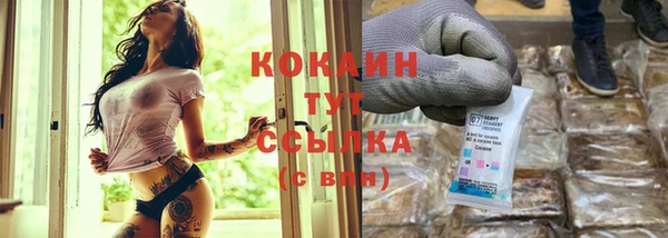 PSILOCYBIN Магас