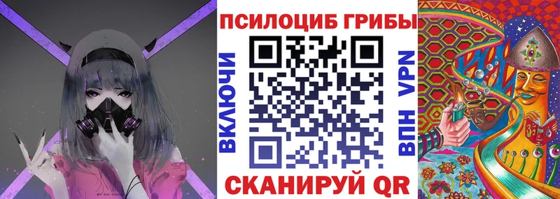 что такое   Жигулёвск  Псилоцибиновые грибы Psilocybe 